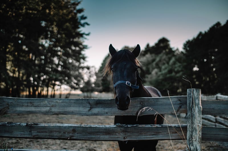 Farm-to-Table Experience
